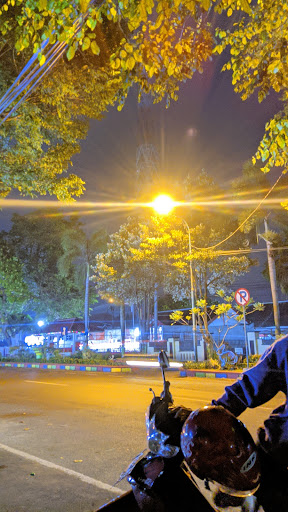 Pati Bumi Mina Tani